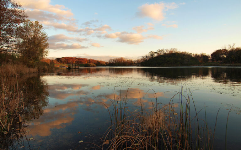 A wide view across Blackwell Lake Forest Preserve beneath an open sky.
