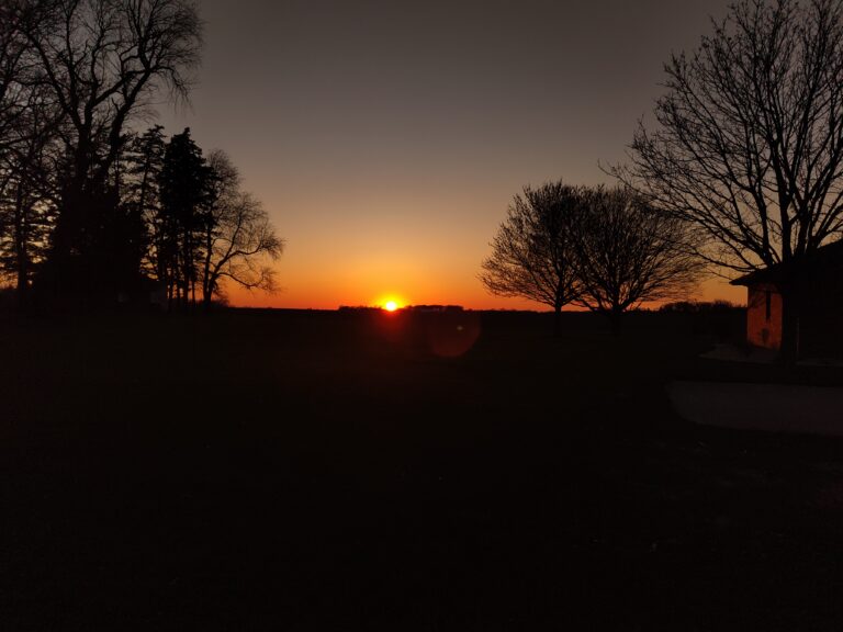A quiet orange sunset framed by silhouetted trees.