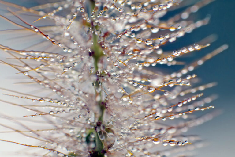 Sunlight sparkling across rippling water.