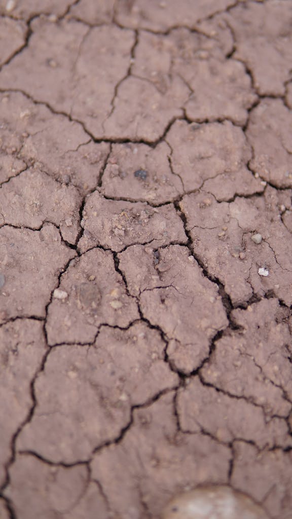 Detailed image showcasing cracks in dried soil, symbolizing drought and arid conditions.