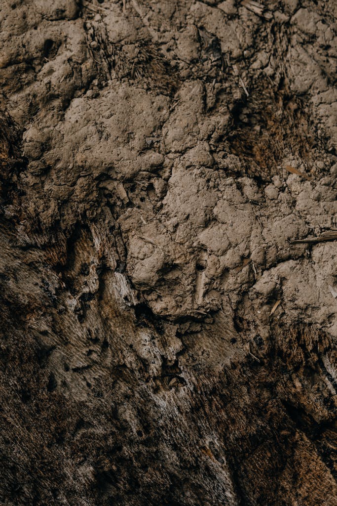 Detailed view of eroded earth surface showcasing natural texture and color.