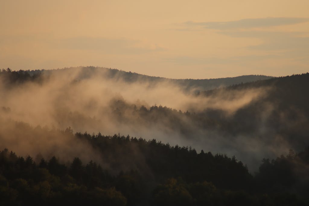 Serene misty mountains with fog rolling over the forest at sunrise.