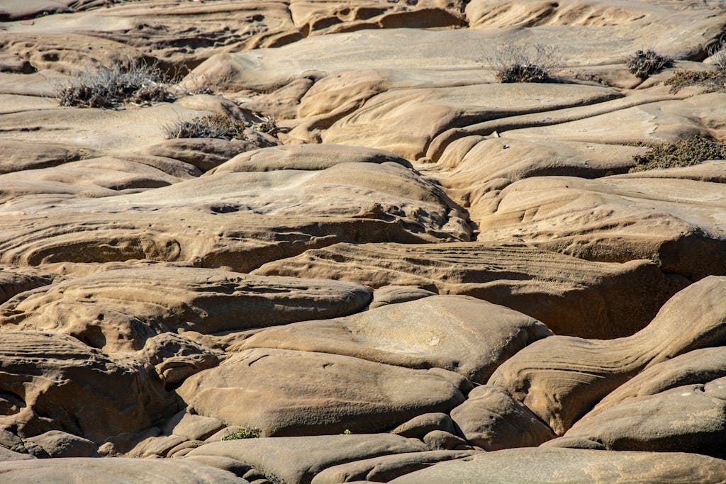 Textured sandstone rock formation showcasing erosion patterns in a desert landscape.